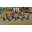 COMBINED ARMY ONYX CONTACT 300PTS PACK