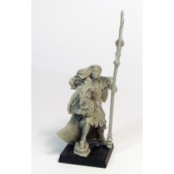 Campeón De Elfos Con Alabardas