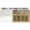 The Bear Awakens Organised Play Kit 2