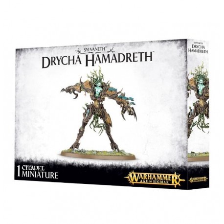 DRYCHA HAMADRETH