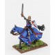 Leader on Barded Horse (Lion)