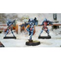 CRUSADER BRETHREN