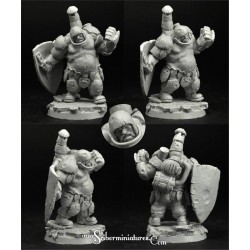 28mm/30mm Celtic SF Lord 3