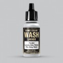 Wash/Lavado GRIS PALIDO 202-17ML+