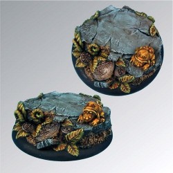 Toad in Ferns 50mm Base