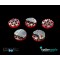 INFINITY NEOTERRAN BASES 25MM (5)