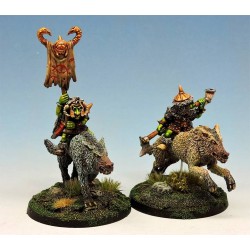 Goblin wolf riders command group