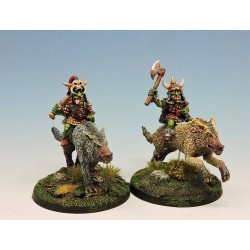 Goblin wolf riders command group
