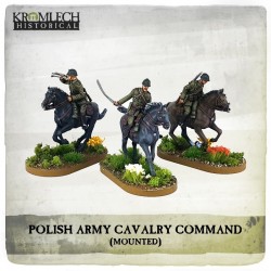 POLISH ARMY CAVALRY COMMAND ON HORSES (3)