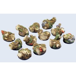 Forest Bases-  Round 25mm (5)