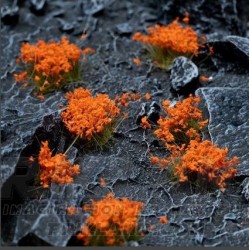 Orange Flowers