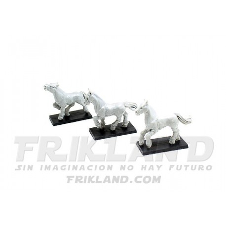 Huevos e infestación