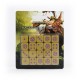 AGE OF SIGMAR: MAGGOTKIN OF NURGLE DICE