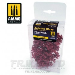 Arbusto Fino - Principio de otoño