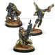 HAQQISLAM BOOSTER PACK ALPHA