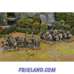 Orc One Player Battle Set (30 Figures)