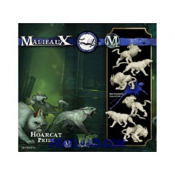 HOARCAT PRIDE (3 OF)