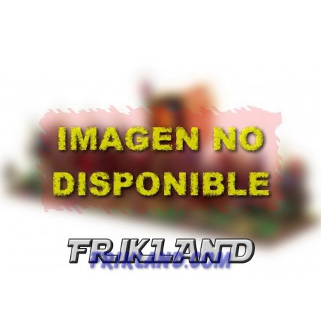 REGIMIENTO ARQUERO BRETONIA 16