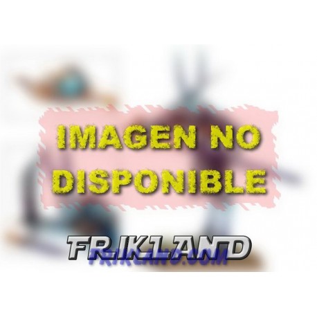 GRAN HECHICERO DE TZEENTCH