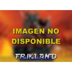 SEÑOR CAOS MONTURA DEMONIACA