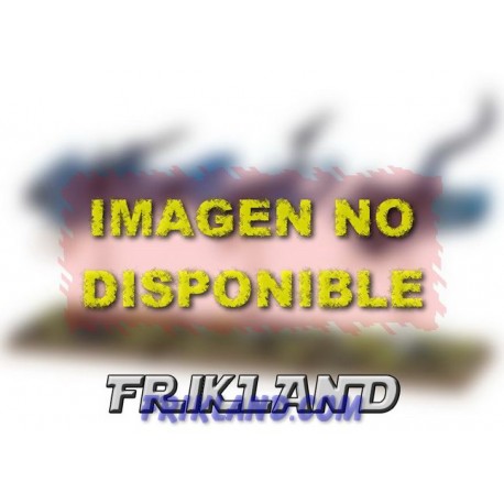 AULLADORES DE TZEENTCH