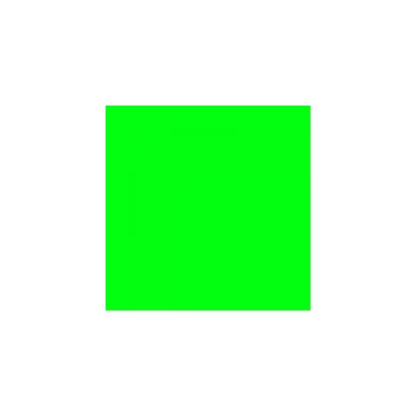 PREMIUM COLOR 60ML.039 VERDE FLUO