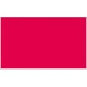 PREMIUM COLOR 60ML.035 ROSA FLUO