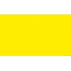 PREMIUM COLOR 60ML.031 AMARILLO FLUO