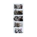 S-F GRAFFITI TRANSFERS (5)