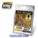 Oak - Dry Leaves