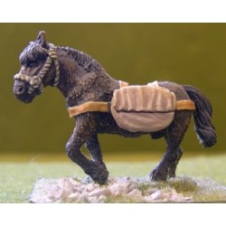Pack Pony with Kite Shield (1)
