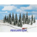 25 Abetos nevados/Snow Fir Trees (25) 6-15 cm high
