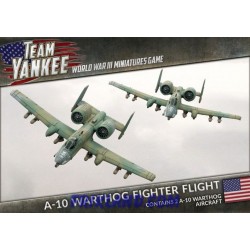 A-10 Warthog Fighter Flight